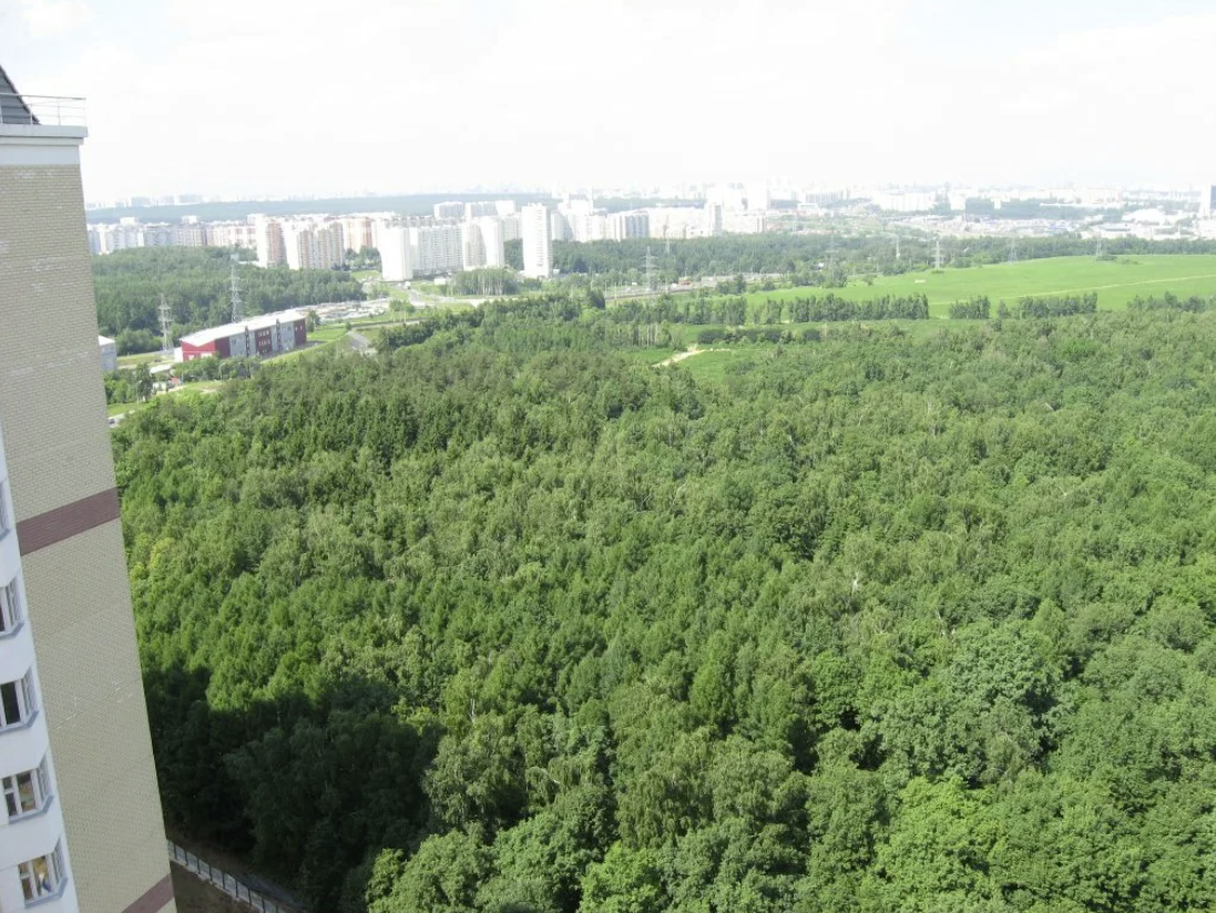 Бутово.Фотка из инета.