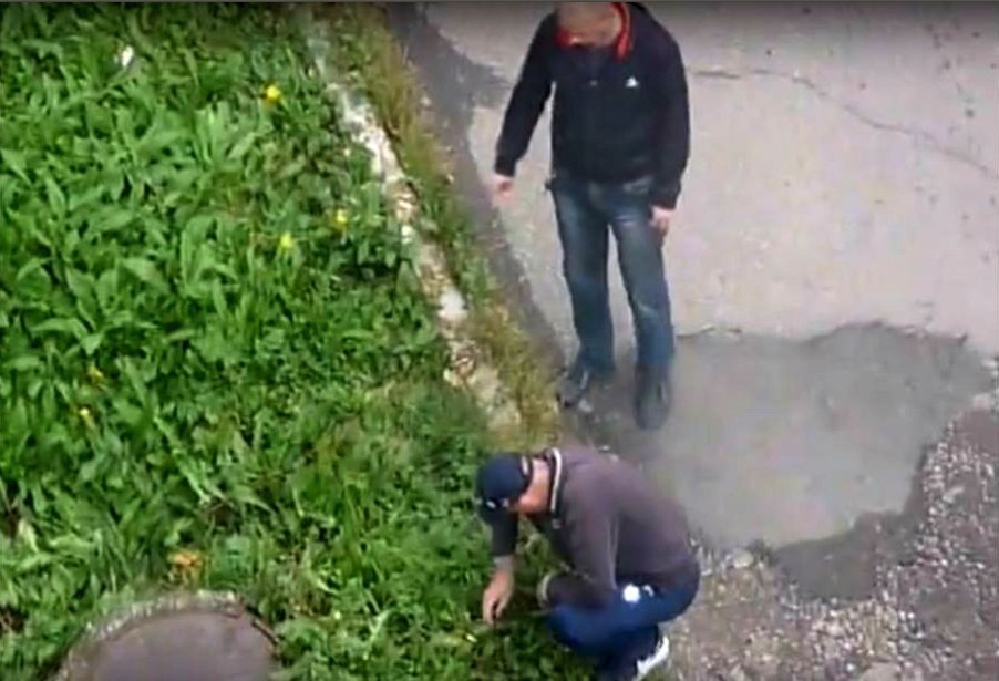 Просто какие-то нарики