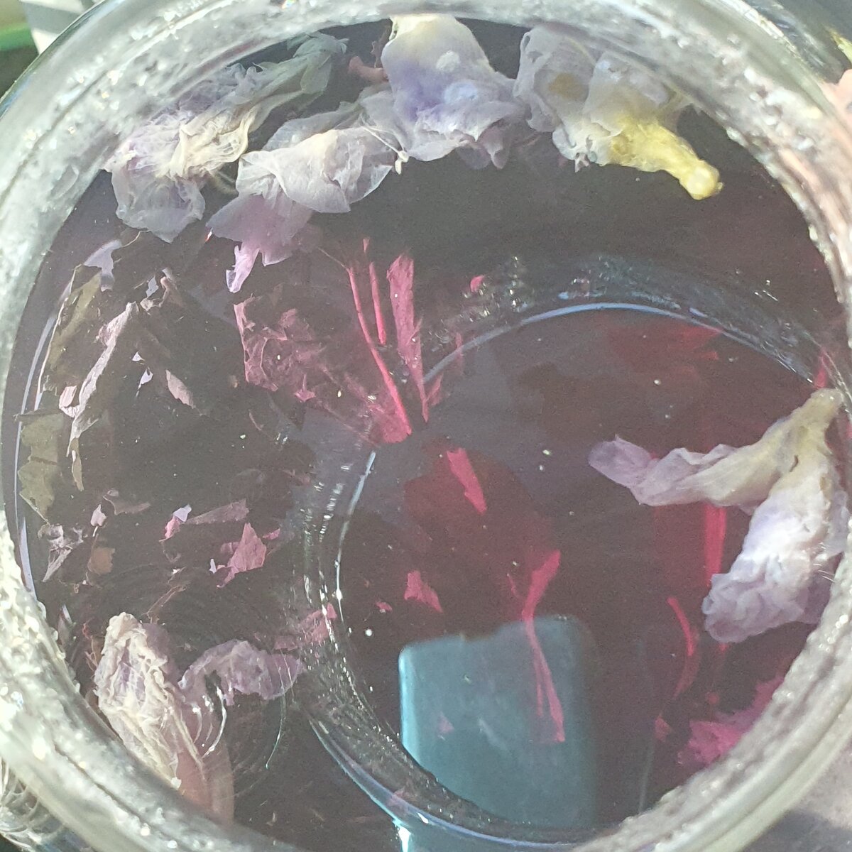    Чайник, внизу листья зеленого чая, сверху плавают бутоны клитории