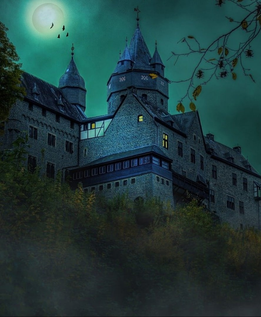 Картинка из интернета