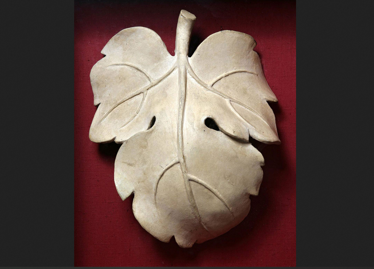 Фото из открытого источника в Яндексе