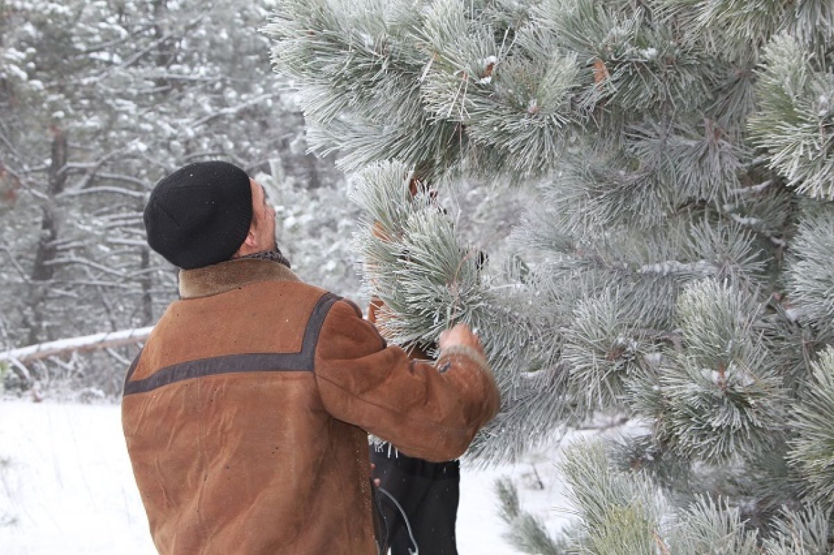    17 февраля, в пятницу, в Ростове пойдёт снег и будут заморозки