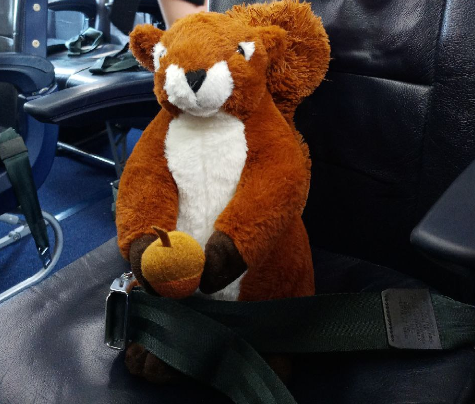 Белка-путешественница уже покаталась в 23-м году: Стамбул, Кельн, Палермо, Петербург, Ярославль. А где побывали вы? :))))