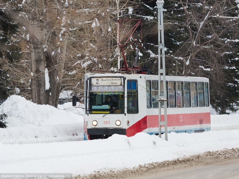    Фото: Дмитрий Кандинский / vtomske.ru