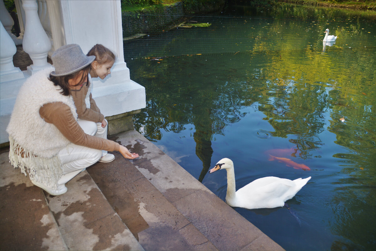 На экскурсии по парку "Южные культуры"