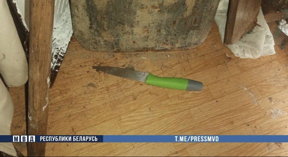     Подозреваемого в убийстве задержали по горячим следам. Фото: скриншот с видео, опубликованного в телеграм-канале МВД Беларуси