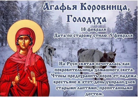 Фото из свободного доступа