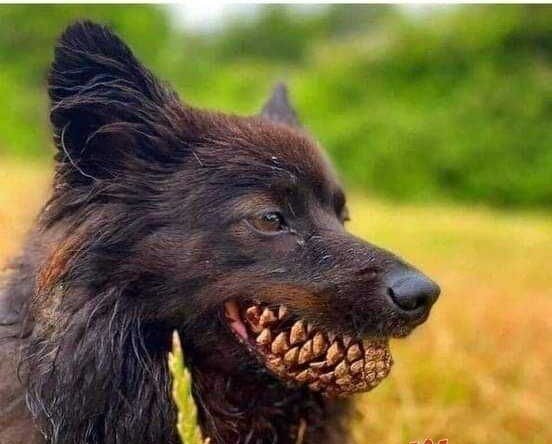 Посмеялся сам - поделись с другом!!!