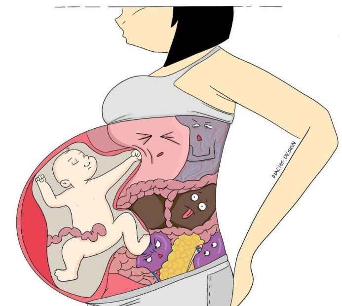 Второй триместр