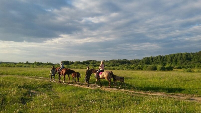 Фото из конной прогулки клуба «ФаворитАС»