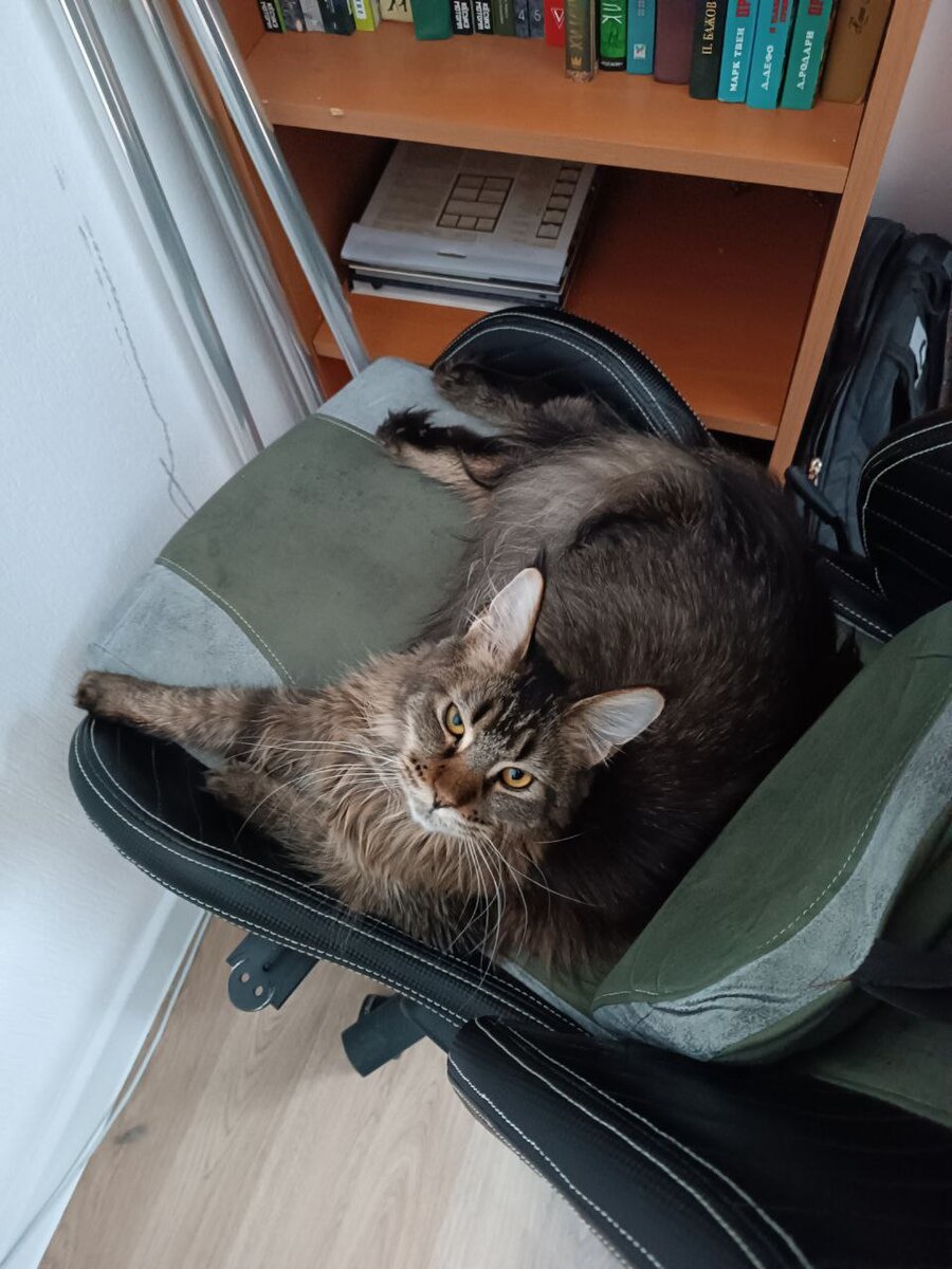 А это точно хорошая ведьма?