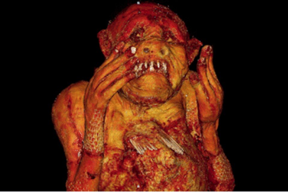     Изображение японской русалки, полученное с помощью томографа