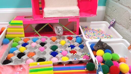 ДЕТСКИЙ ЦЕНТР СВОИМИ РУКАМИ** ХОМЯЧКИ ИГРАЮТ ВМЕСТЕ | Канал Вики Лаки ...