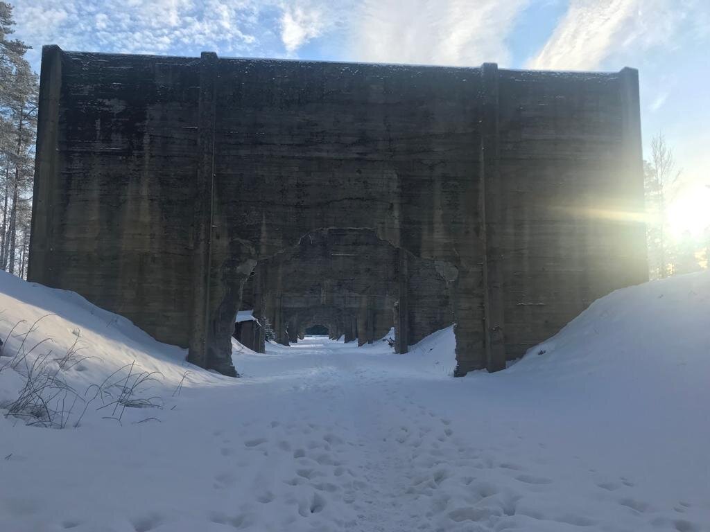 Фото автора