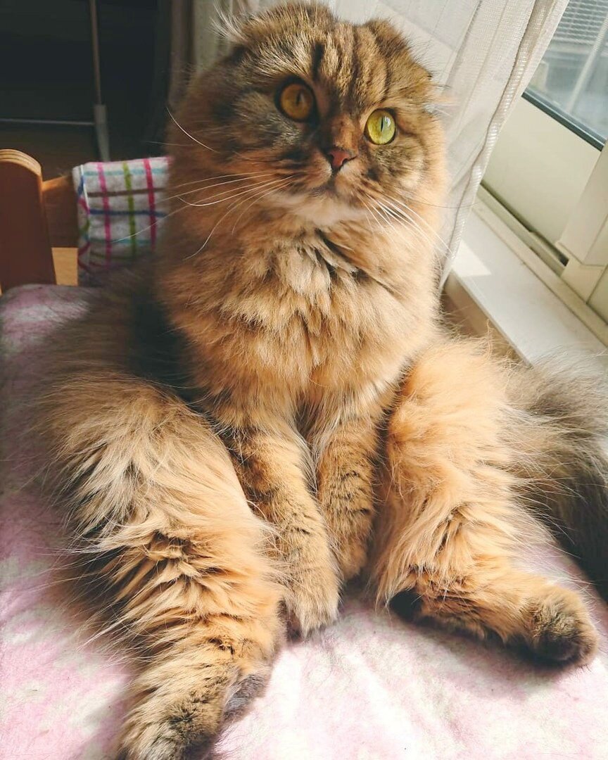 Источник: Яндекс картинки