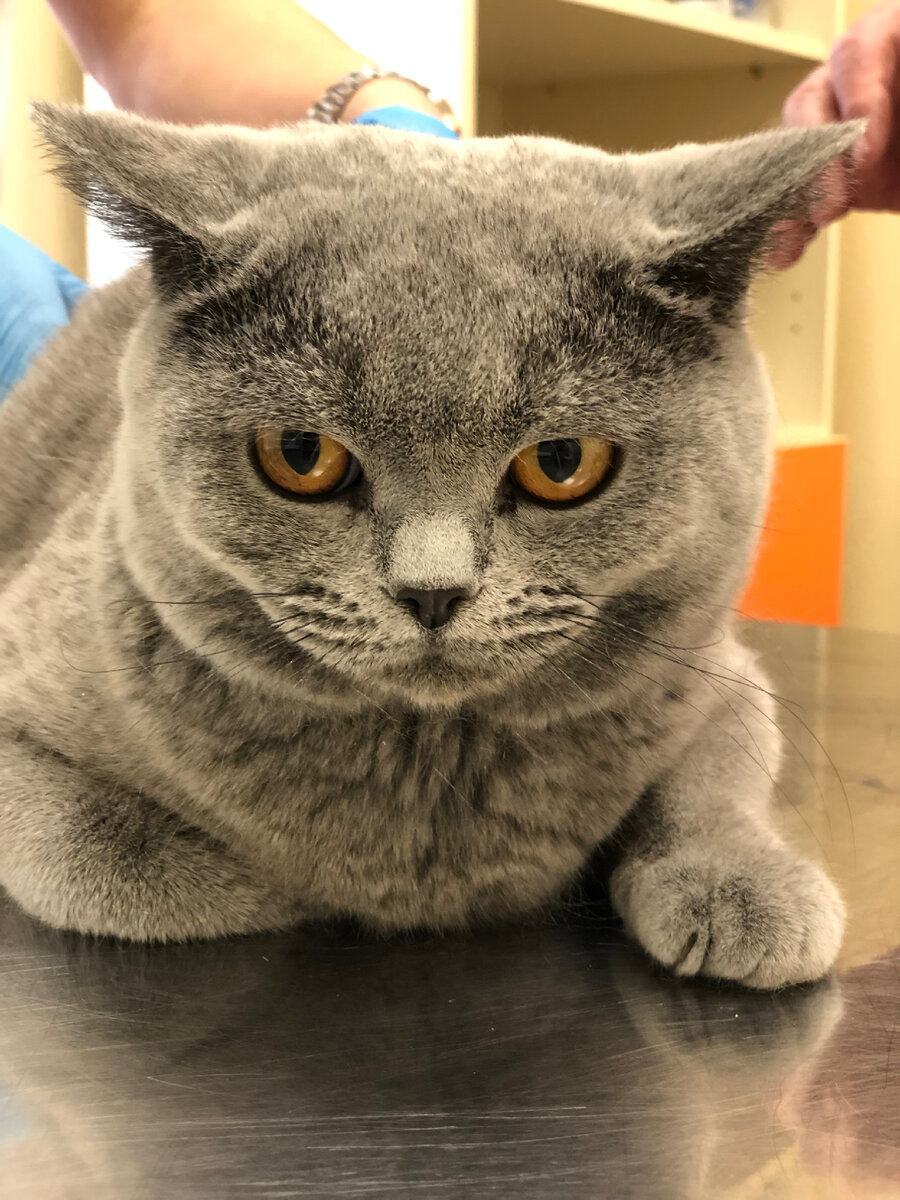 Серик