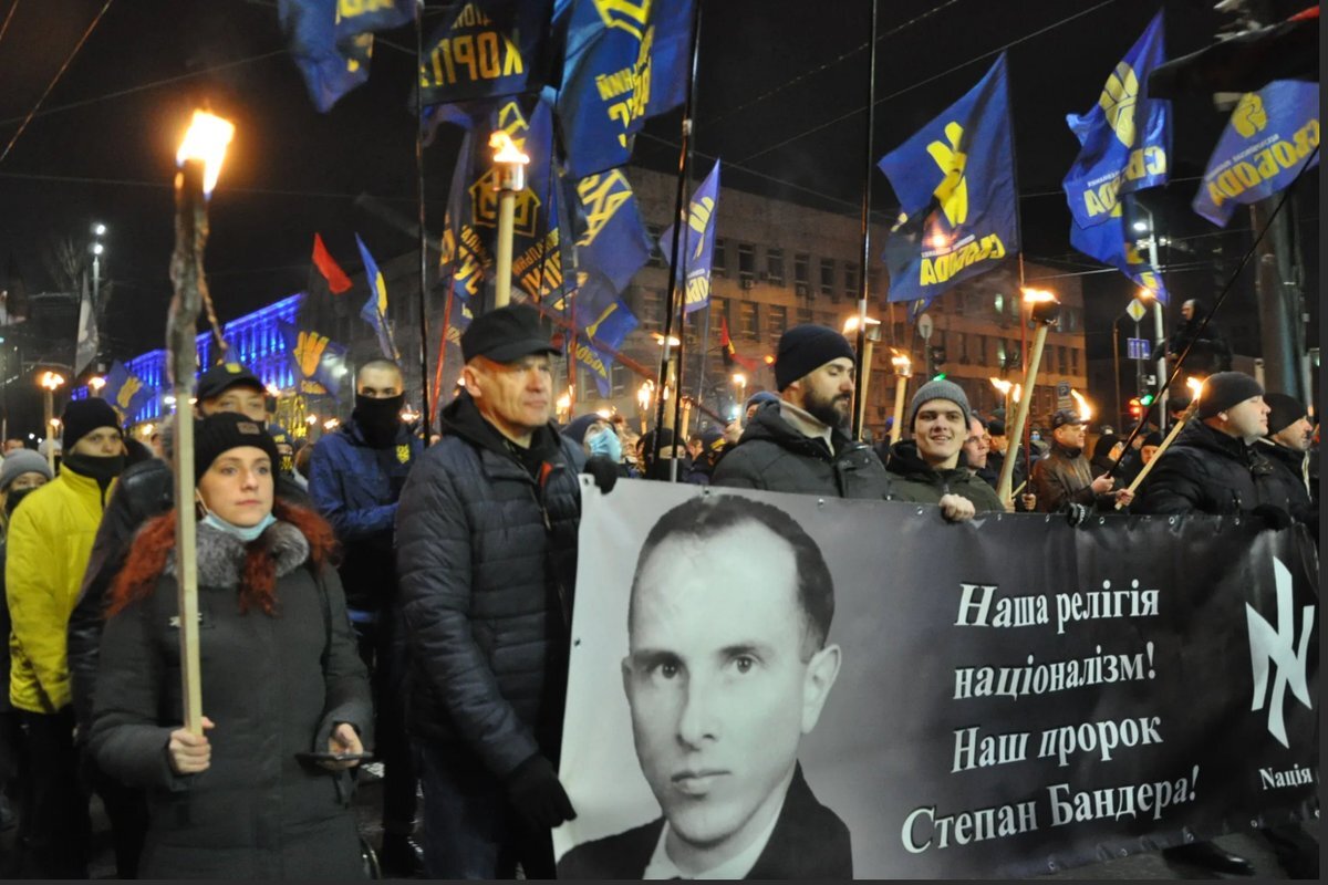 корни и кроны