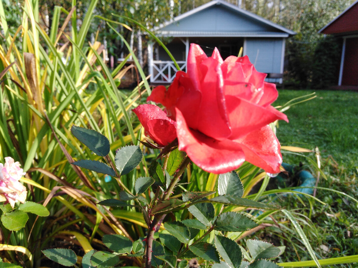 Веранда с мастерской и баней, которую муж построил за два сезона 2019-2020