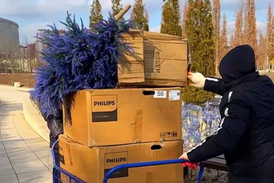     Светящийся шалфей краснодарцы увидят только следующей зимой. Фото: t.me/park_galitskogo