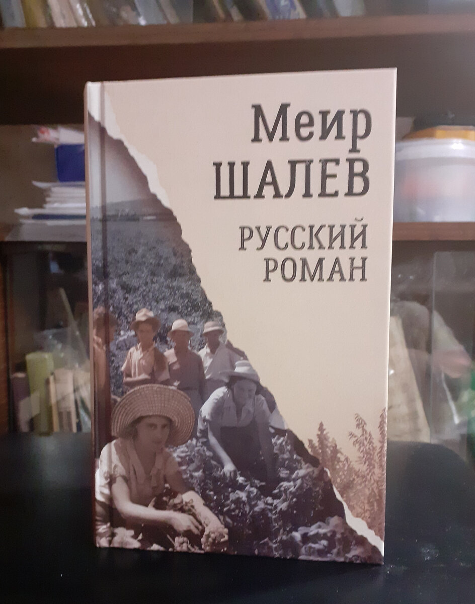 Шалев, М. Русский роман. – М.: Текст, 2022. Отзыв на семейную сагу  по-еврейски | Реплика от скептика | Дзен