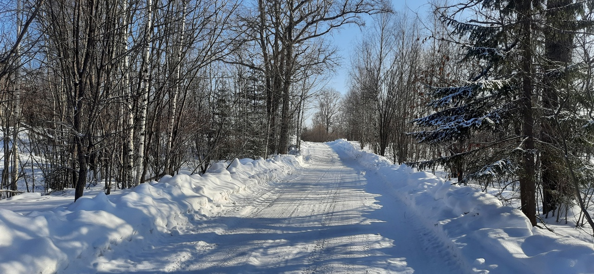 На возвышенности стояла деревня Басы