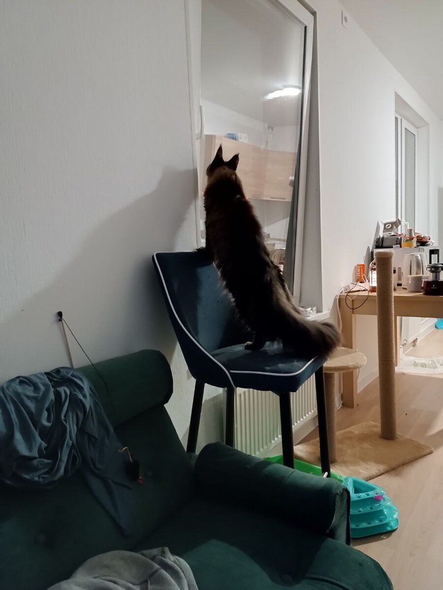 А как к Ивору попасть?