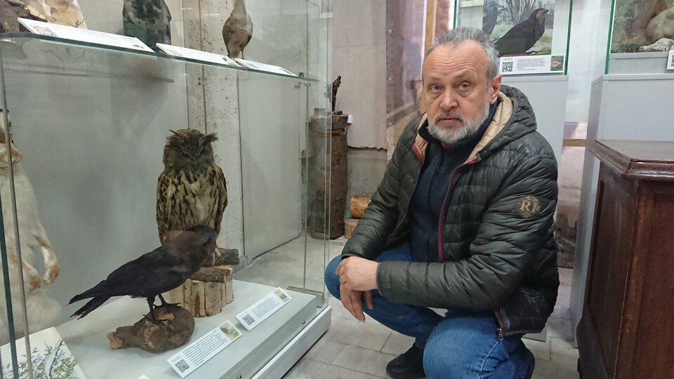     Николай Целовальник - таксидермист с многолетним стажем. Алексей ДЕНИСЕНКОВ