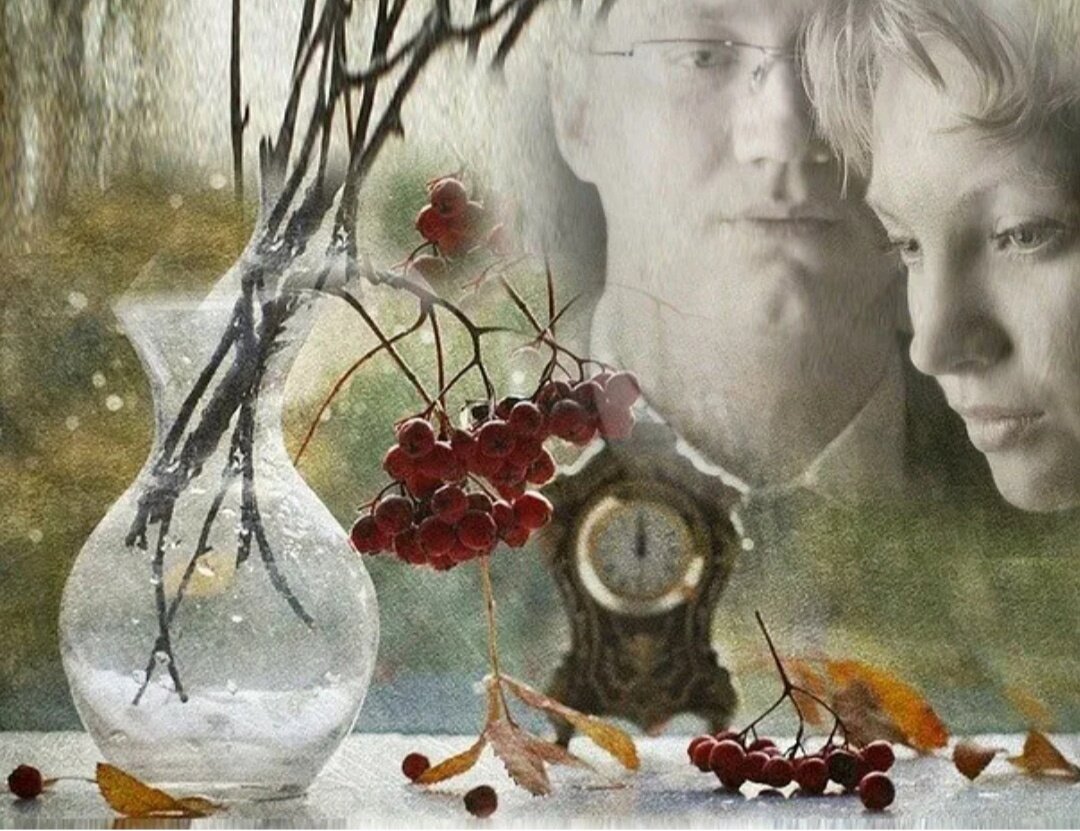 Изображение взято из открытых источников