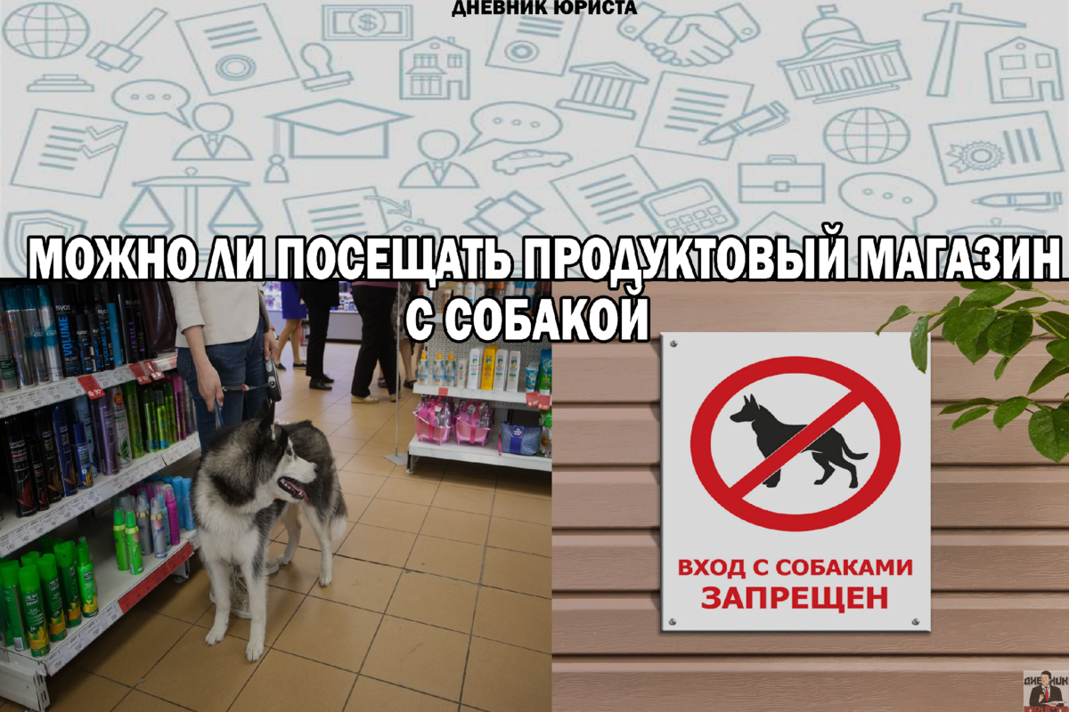 Можно с собаками в продуктовый магазин. Разрешено ли заходить в продуктовые магазины с собаками. Вход в магазин с животными запрещен. Можно ли заходить в магазин с собакой. В магазин с собакой можно заходить по закону продуктовый ли.