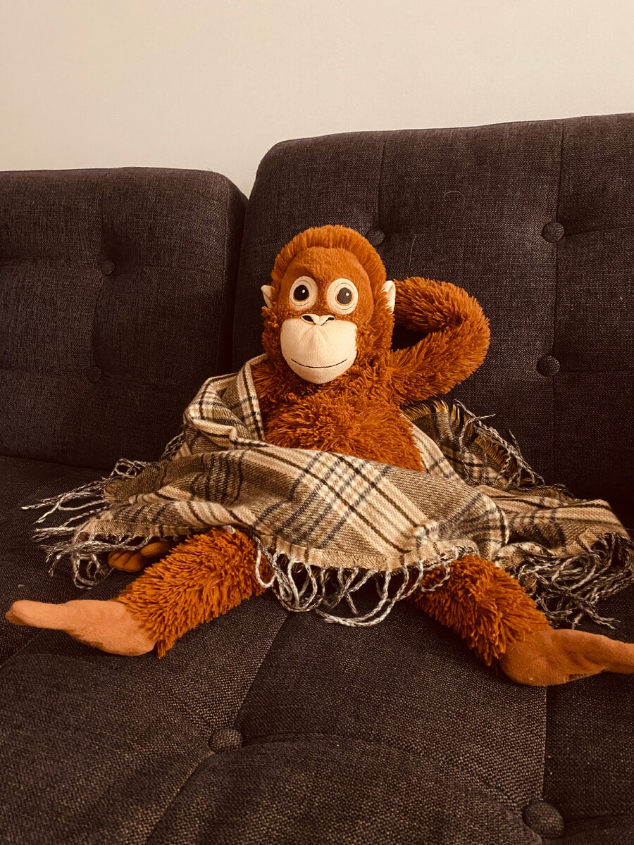 Отдых Макаковича