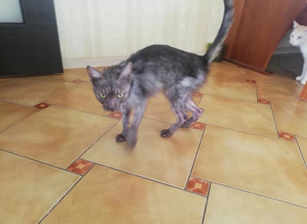 С такой Че я познакомилась в тот день.