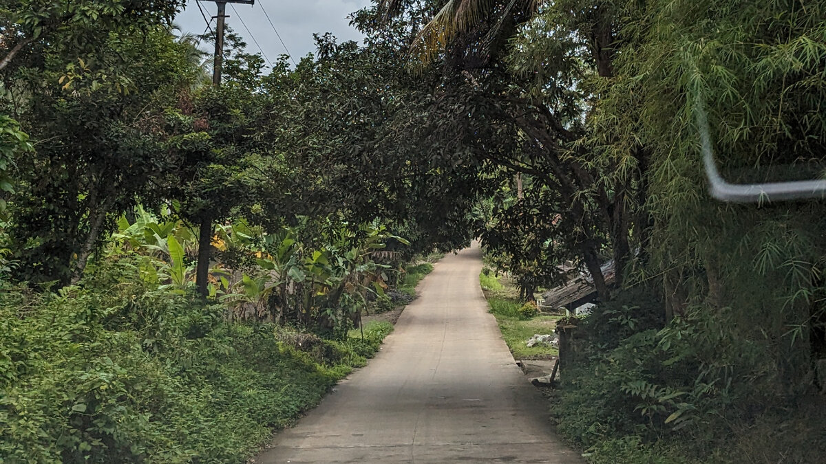 Дорога до деревни