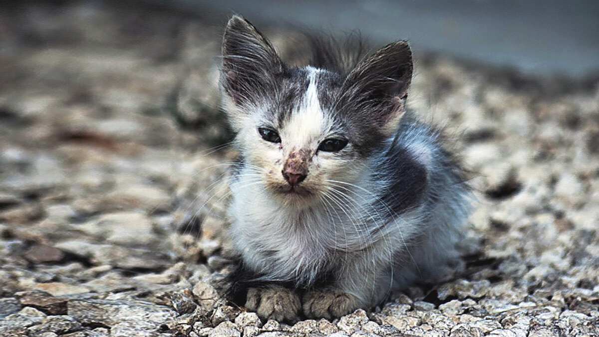 источник фото: pics.livejournal.com