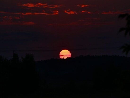   Екатерина Царева