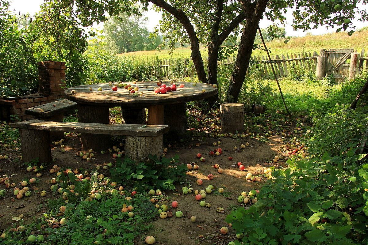 Деревенский сад. Деревенский стол в саду. Старый заброшенный сад. Столик в саду под яблоней.