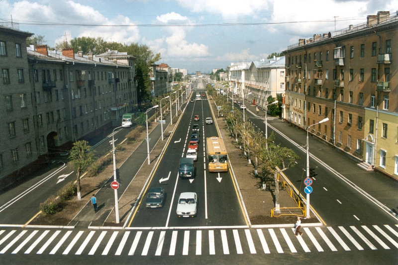    За посадку лип взамен старых тополей на участке от улицы Ленина до Металлургов проголосовали почти 59% участников опроса.