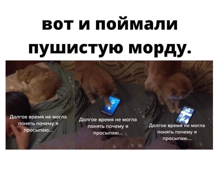 Добавьте описание