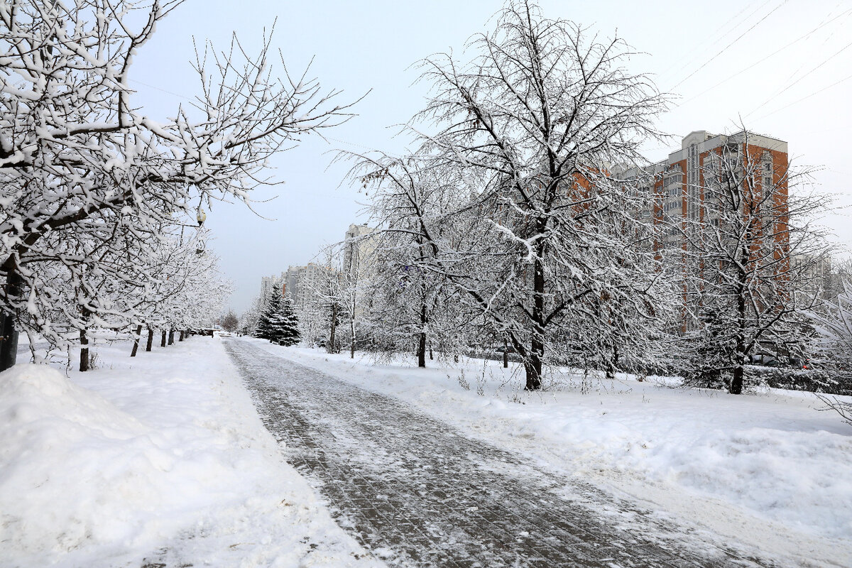   Фото: istockphoto.com