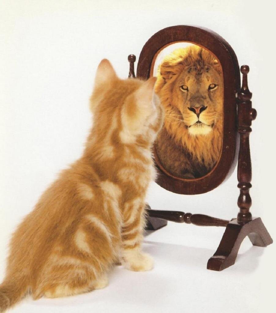 Источник изображения: Яндекс.Картинки