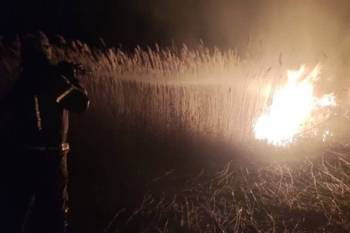    Пожар в плавнях в Темрюкском районе тушили более пяти часов