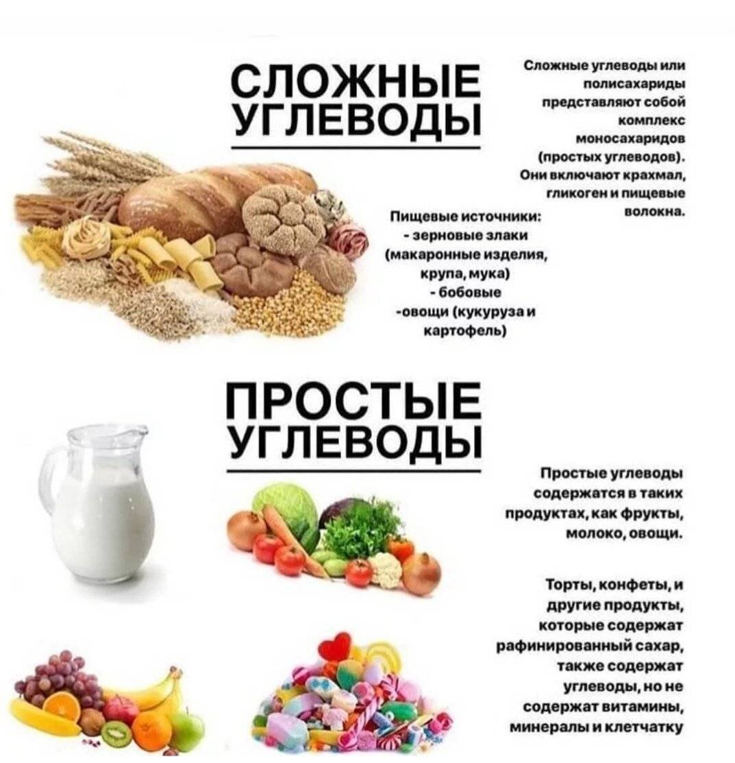 Пять лучших белковых продуктов для сжигания жира