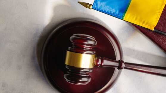    В Сумской области Украины за год арестовали имущество бизнесменов из РФ на ,9 миллиона Екатерина Щербакова