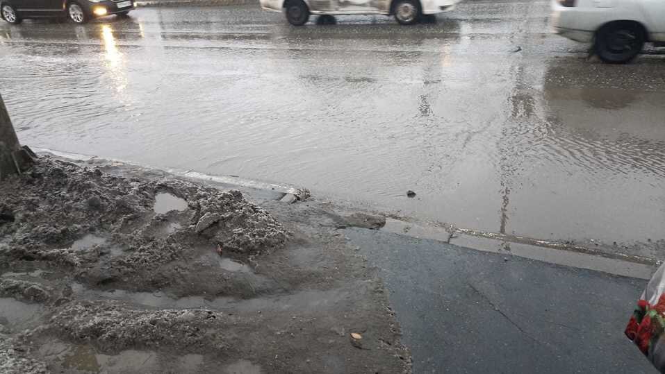     Пересекать дорогу хорошо только в резиновых сапогах