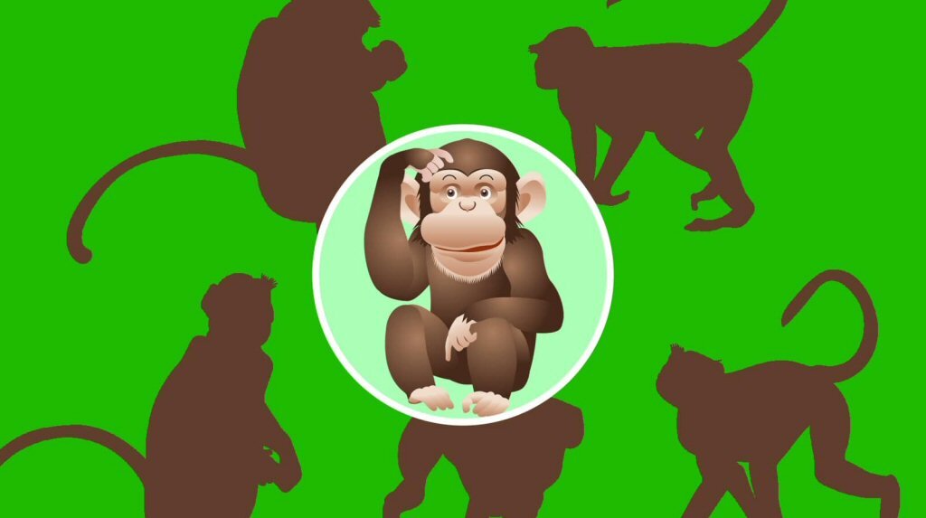Квиз Угадай обезьяну