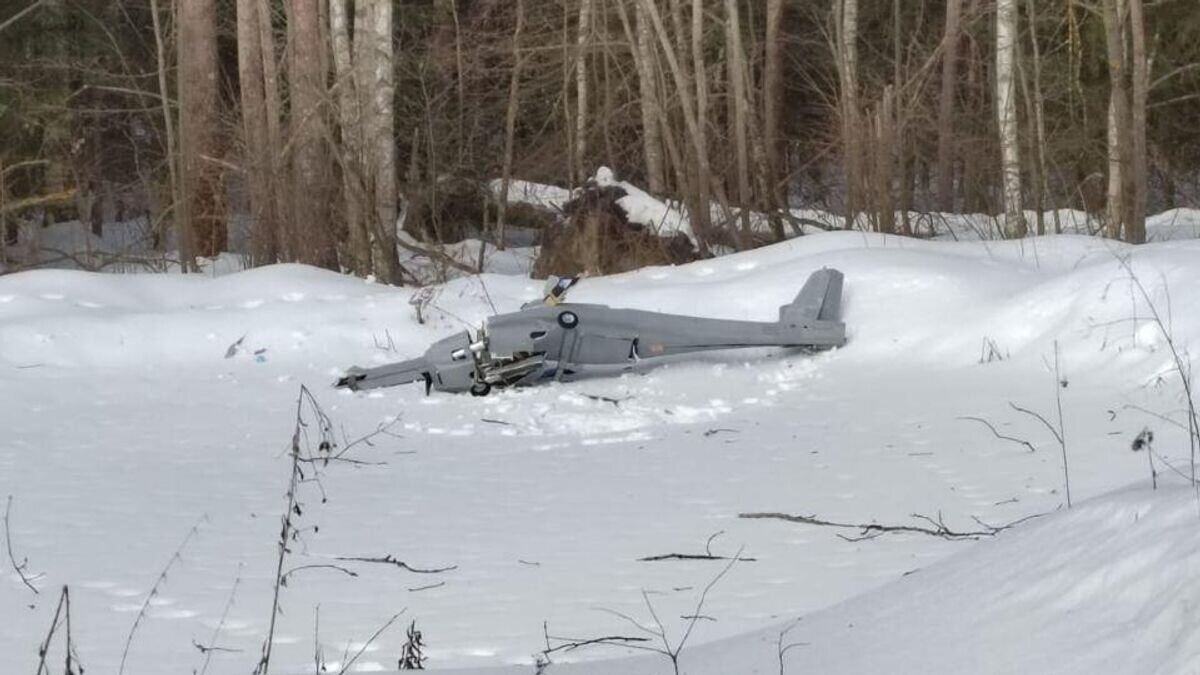    Беспилотник, упавший вблизи деревни Губастово в городском округе Коломна© Фото из соцсетей