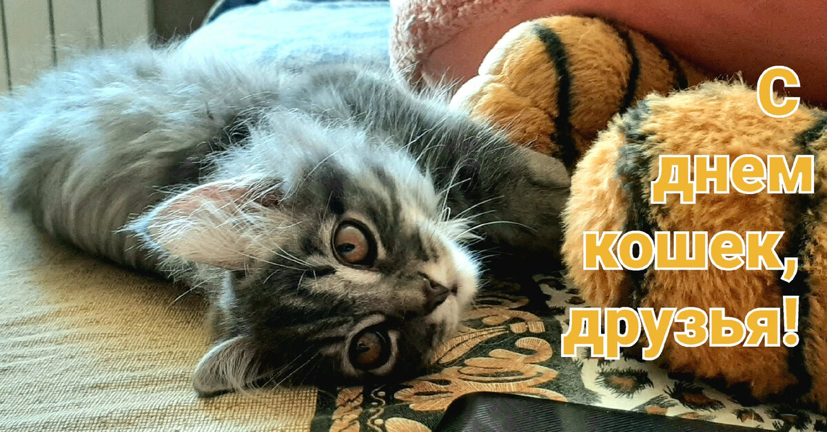 Позирует Маффу