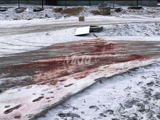     Фото предоставлено очевидцем