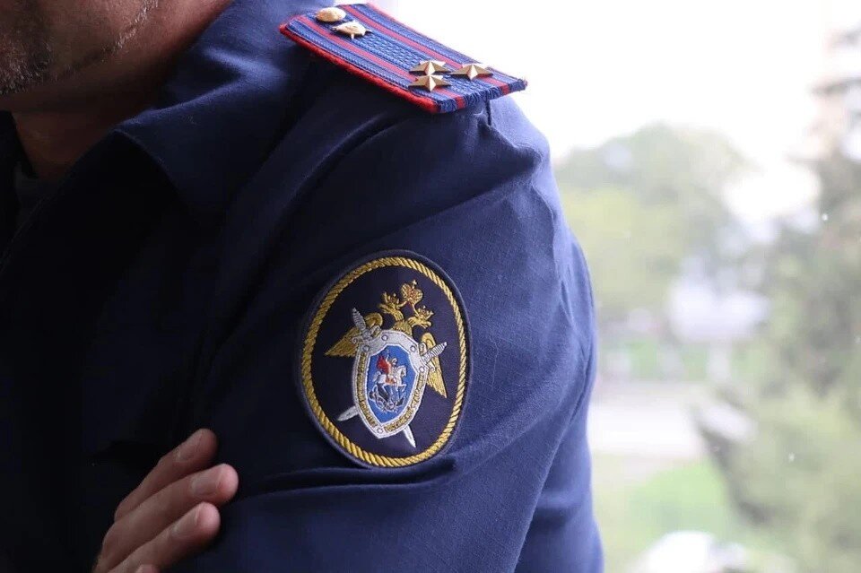     Возбуждено уголовное дело по ч.1 ст. 318 УК РФ «Применение насилия в отношении представителя власти» Герман ВОЛКОВ