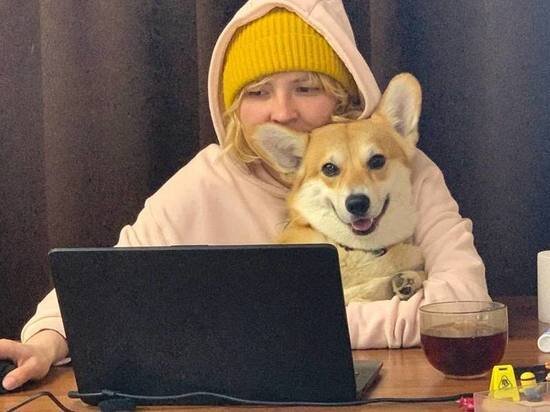     фото: МК в Туле