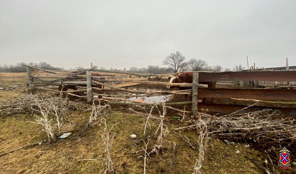     ГУ МВД по Волгоградской области